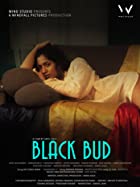 Black Bud  2021 Full Movie Download FilmyMeet