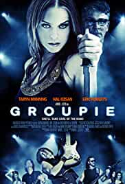 Groupie  2010 Hindi Dubbed 480p FilmyMeet