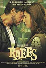 Raees  2017 Hindi 300MB 480p BluRay Full Movie Download FilmyMeet