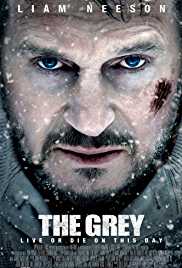 The Grey 2011 Hindi Dubbed 300MB 480p FilmyMeet