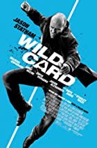 Wild Card  2015 Hindi Dubbed 480p 720p FilmyMeet